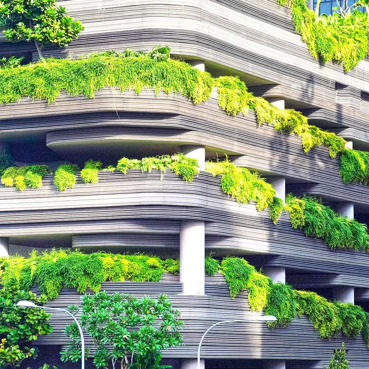 Byggnad med växtlighet